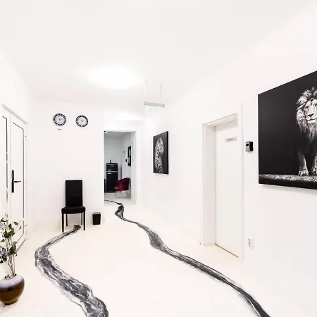 Paris 布加勒斯特