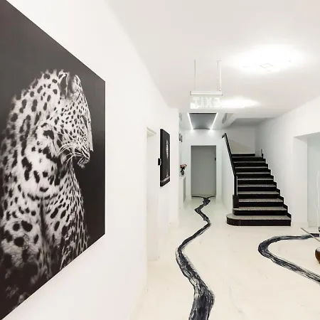 Paris Apartment Bucharest